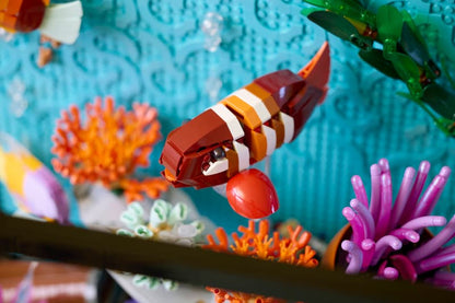 Tropical Aquarium Display - 10366