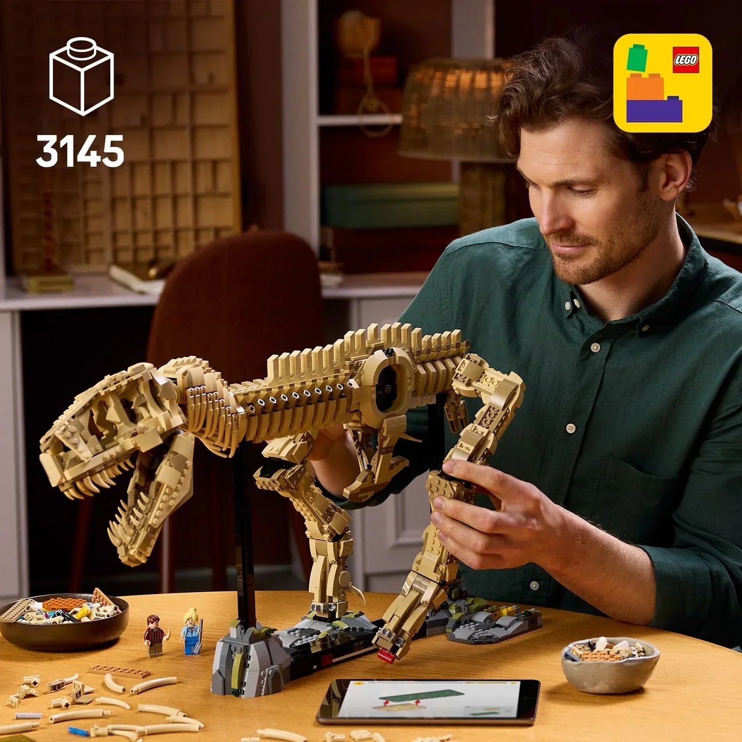 T-Rex Dinosaur Skeleton Fossil - 76968