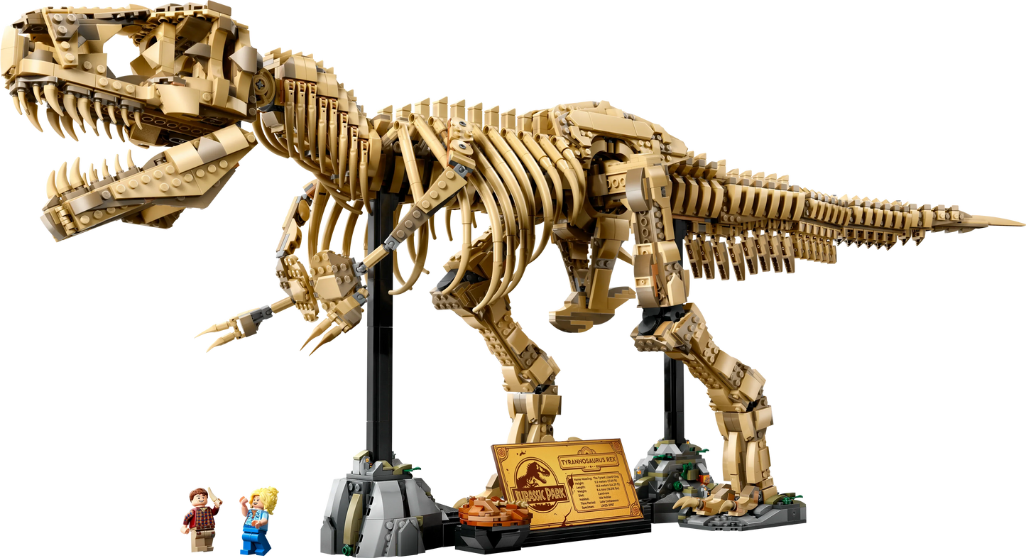 T-Rex Dinosaur Skeleton Fossil - 76968
