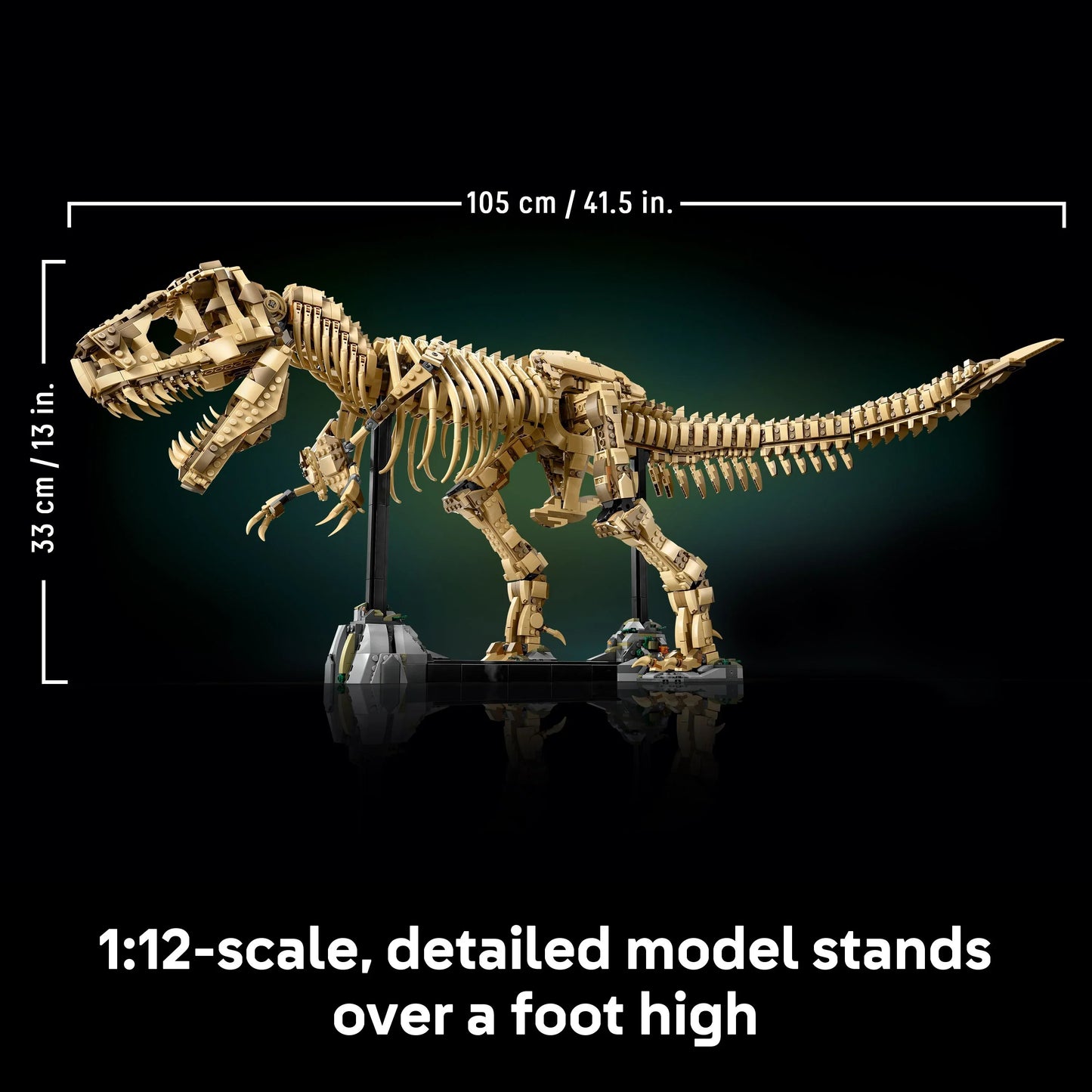 T-Rex Dinosaur Skeleton Fossil - 76968