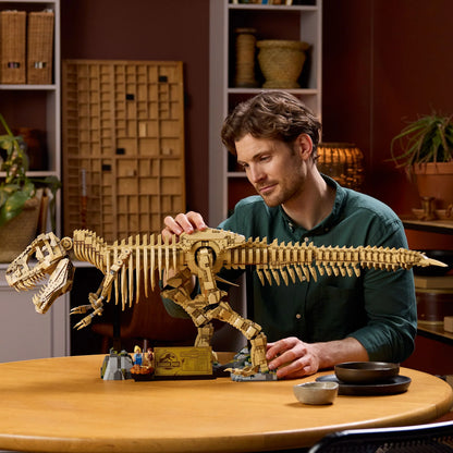 T-Rex Dinosaur Skeleton Fossil - 76968