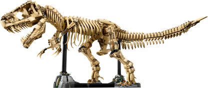 T-Rex Dinosaur Skeleton Fossil - 76968